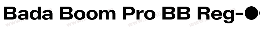 Bada Boom Pro BB Reg字体转换